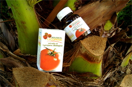 Producto Natural... Licopene biologico para distribuidores y mayoristas... El licopene biologico made in Italy con los mas ricos, potentes y biologicos tomates de Italia... El licopene biologico podria prevenir cancer de la prostata, enfermedades cardiacas y otras formas de cancer... Licopene biologico gran solucion para el mercado mundial de la salud, sanidad y medicinas Buscamos Distribuidores en Estados Unidos...