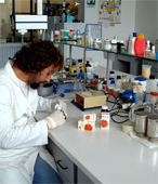 Calificados ingenieros de alta capacidad en la investigacion han desarrollado el Licopene biologico para distribuidores y mayoristas... El licopene biologico made in Italy con los mas ricos, potentes y biologicos tomates de Italia... El licopene biologico podria prevenir cancer de la prostata, enfermedades cardiacas y otras formas de cancer... Licopene biologico gran solucion para el mercado mundial de la salud, sanidad y medicinas Buscamos Distribuidores en Estados Unidos...