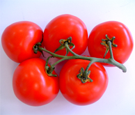 Tomates Italianos biologicos (producidos sin seinfectantes ni medicinas quimicas) con alto contenido de licopene usados en la produccion... Licopene biologico para distribuidores y mayoristas... El licopene biologico made in Italy con los mas ricos, potentes y biologicos tomates de Italia... El licopene biologico podria prevenir cancer de la prostata, enfermedades cardiacas y otras formas de cancer... Licopene biologico gran solucion para el mercado mundial de la salud, sanidad y medicinas Buscamos Distribuidores en Estados Unidos...